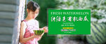 绿色有机农产品西瓜海报设计