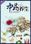 中药养生