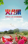 火龙果