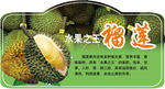榴莲吊牌