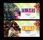 荔枝