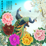 花开富贵孔雀牡丹十字绣无框画