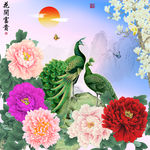 花开富贵孔雀牡丹十字绣无框画