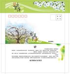梨花节纪念封