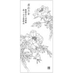牡丹