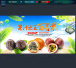 百香果