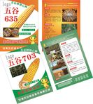 玉米宣传彩页