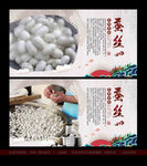 蚕丝