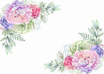 花团锦簇