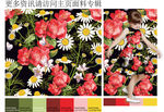 艳丽花卉图案 春夏印花图案