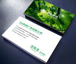 时尚绿色树叶名片设计