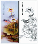 荷花鱼