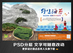 海苔