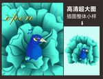 开盘孔雀