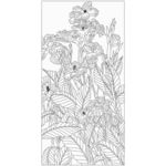 芭蕉花
