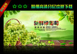 绿葡萄