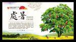 处暑24节气