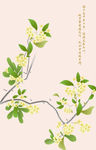 桂花 桂树枝 花瓣 绿叶 矢量