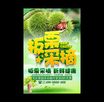 板栗