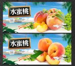 桃子 水蜜桃