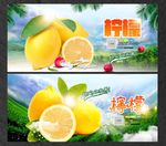柠檬