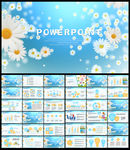 梦幻小花工作总结汇报PPT