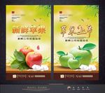 苹果