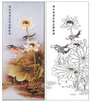 荷花鱼