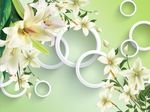 3D百合花