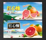 柚子