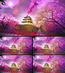 樱花角楼