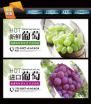 葡萄