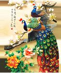 孔雀分层图