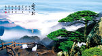 黄山迎客松