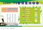 7S活动宣传展板