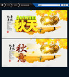 秋天 秋意 唯美