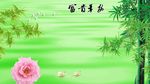 绿竹 背景墙