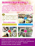 花店单页DM宣传单促销A4彩页