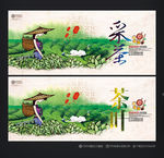 采茶