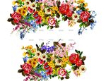 水彩花 （高清分层图）