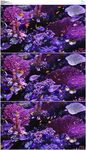 海底世界热带鱼和珊瑚