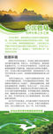 巴马