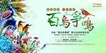 百鸟争鸣
