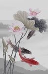 国画玄关荷花