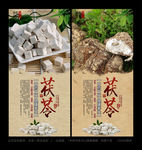 茯苓