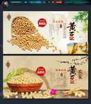黄豆