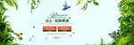 首页海报banner