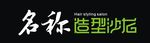 美发行业店招牌设计 造型沙龙