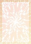 卡其变幻-经销证书纹