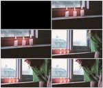 人吹蜡烛